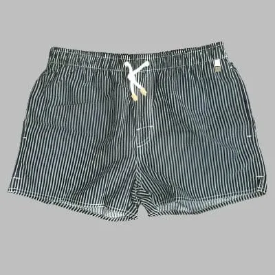 Men's Striped Beach Vacation Shorts: Lined Swim Trunks for Hot Springs