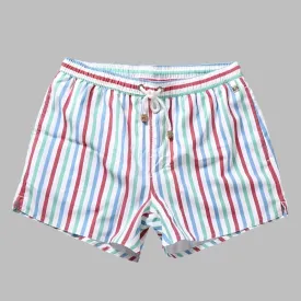 Men's Striped Beach Vacation Shorts: Lined Swim Trunks for Hot Springs