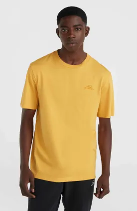 O'Neill Small Logo T-Shirt | Golden Haze