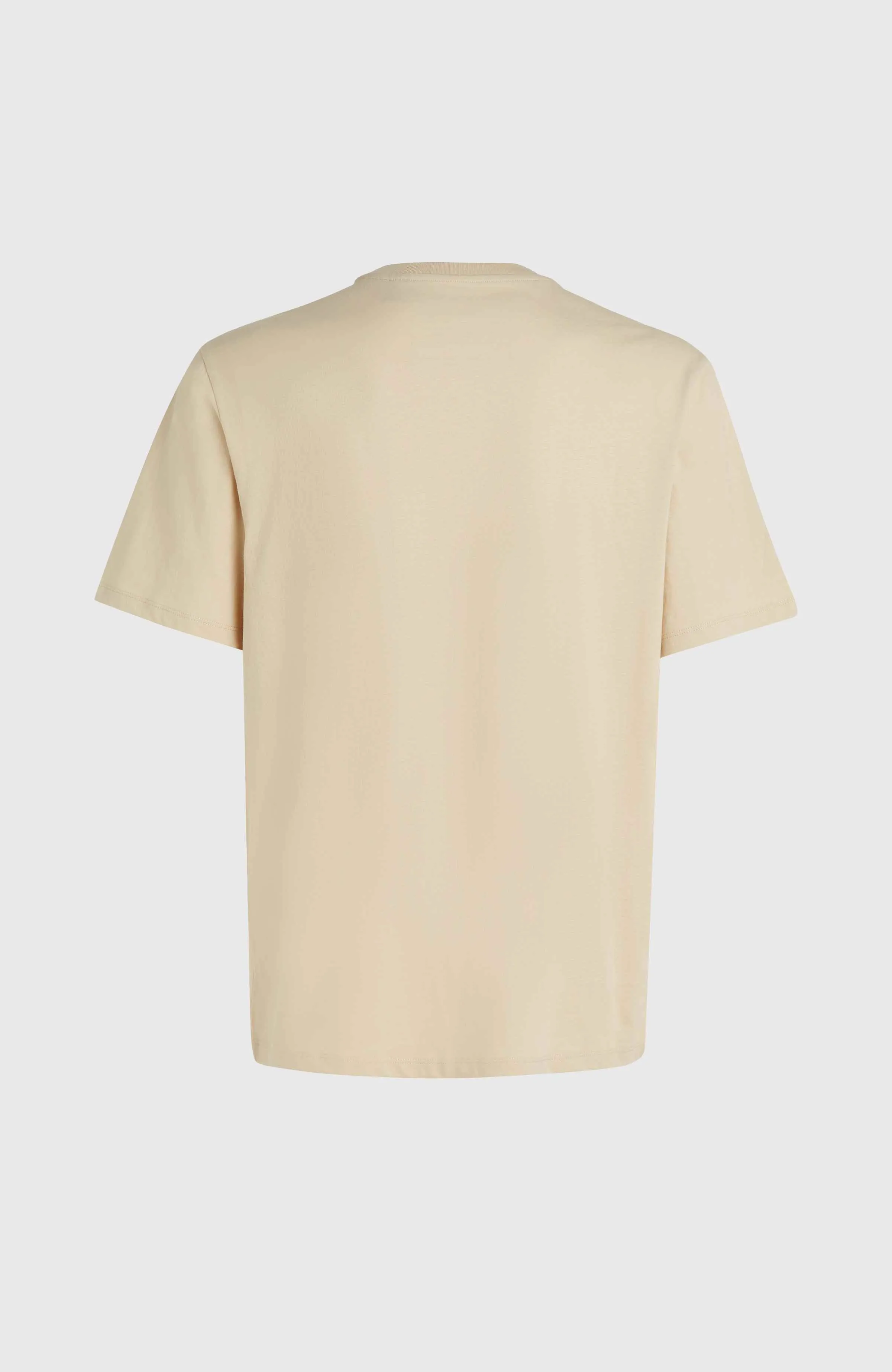 O'Neill Small Logo T-Shirt | Muslin