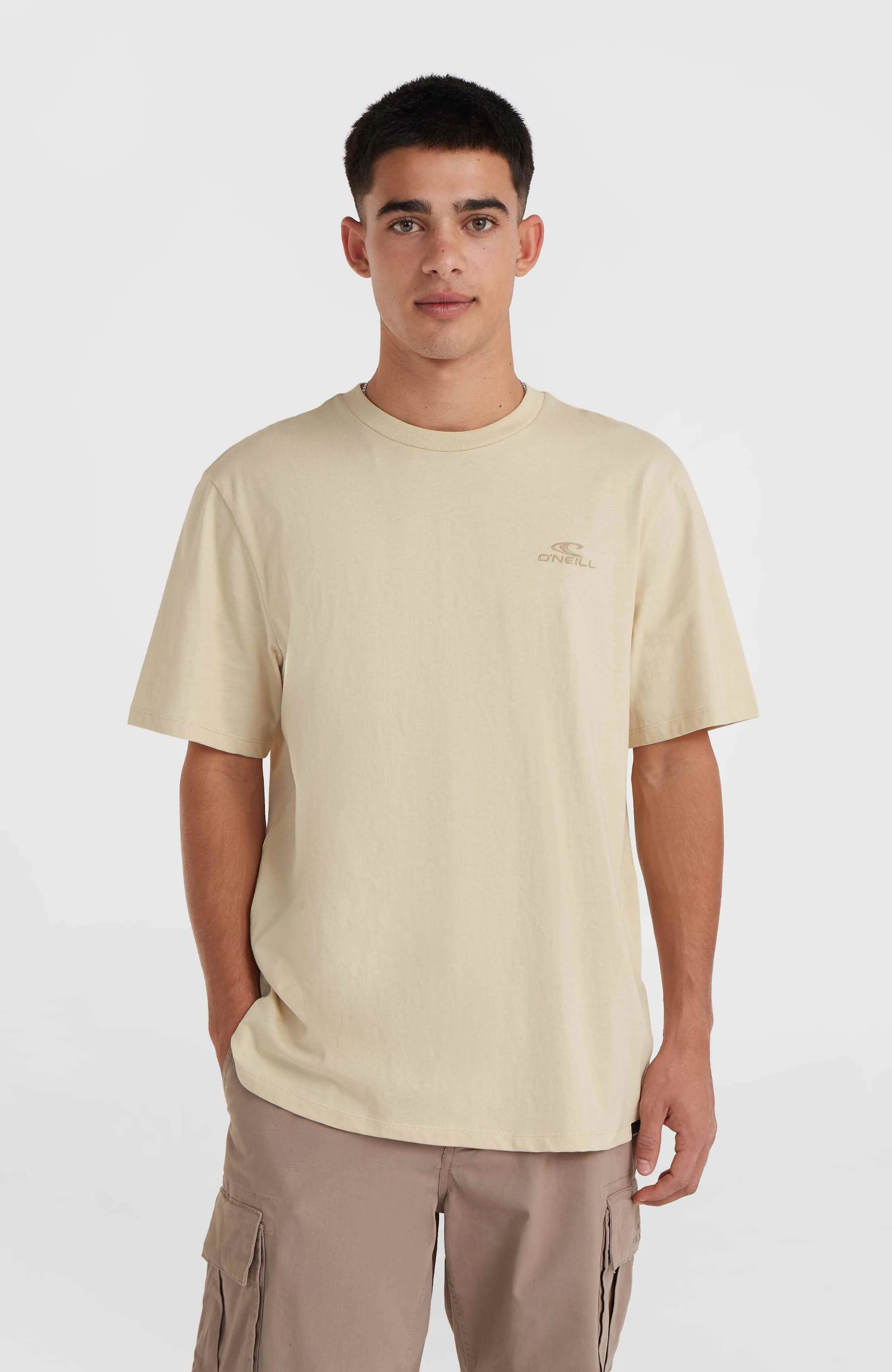 O'Neill Small Logo T-Shirt | Muslin