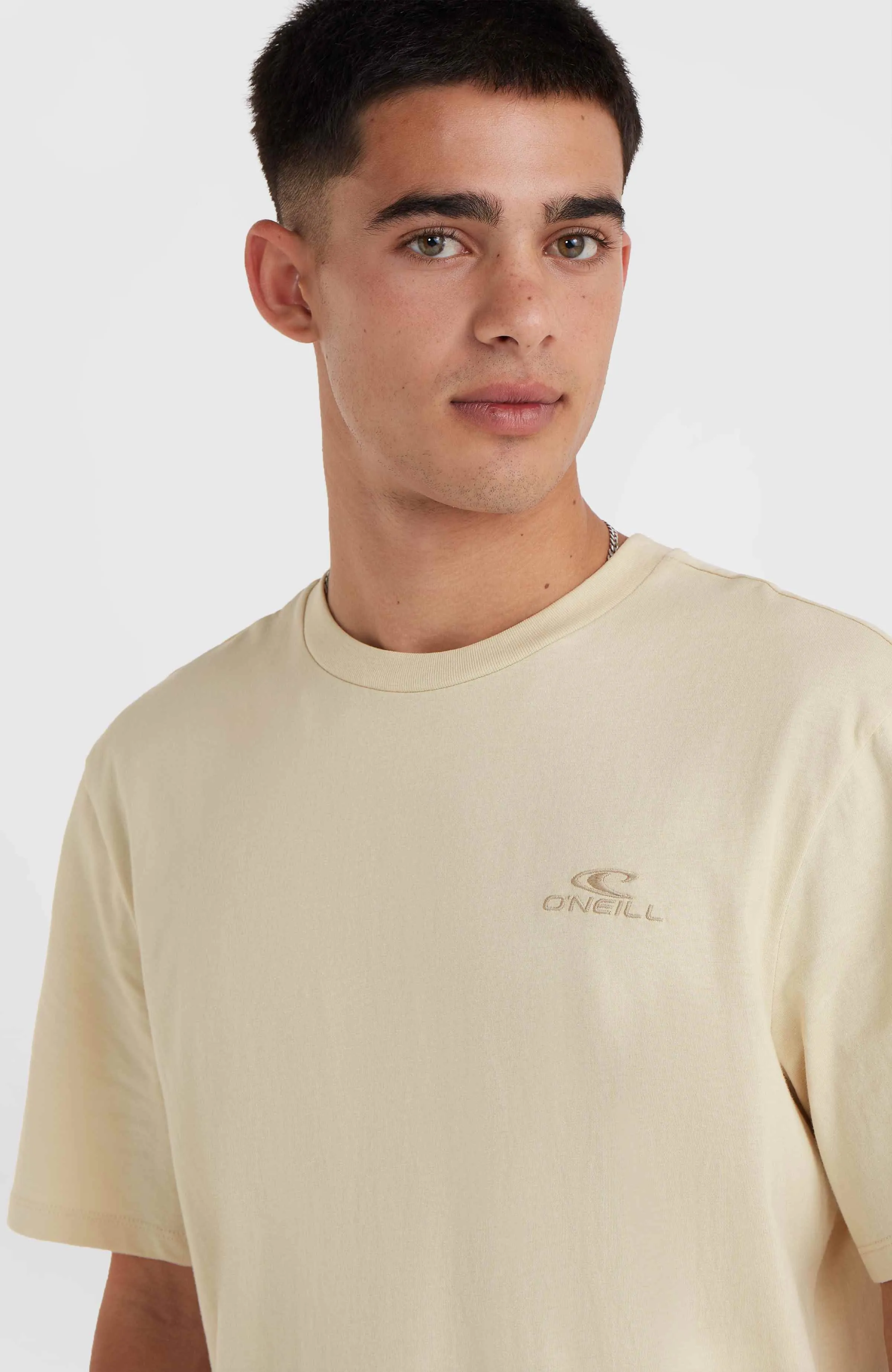 O'Neill Small Logo T-Shirt | Muslin